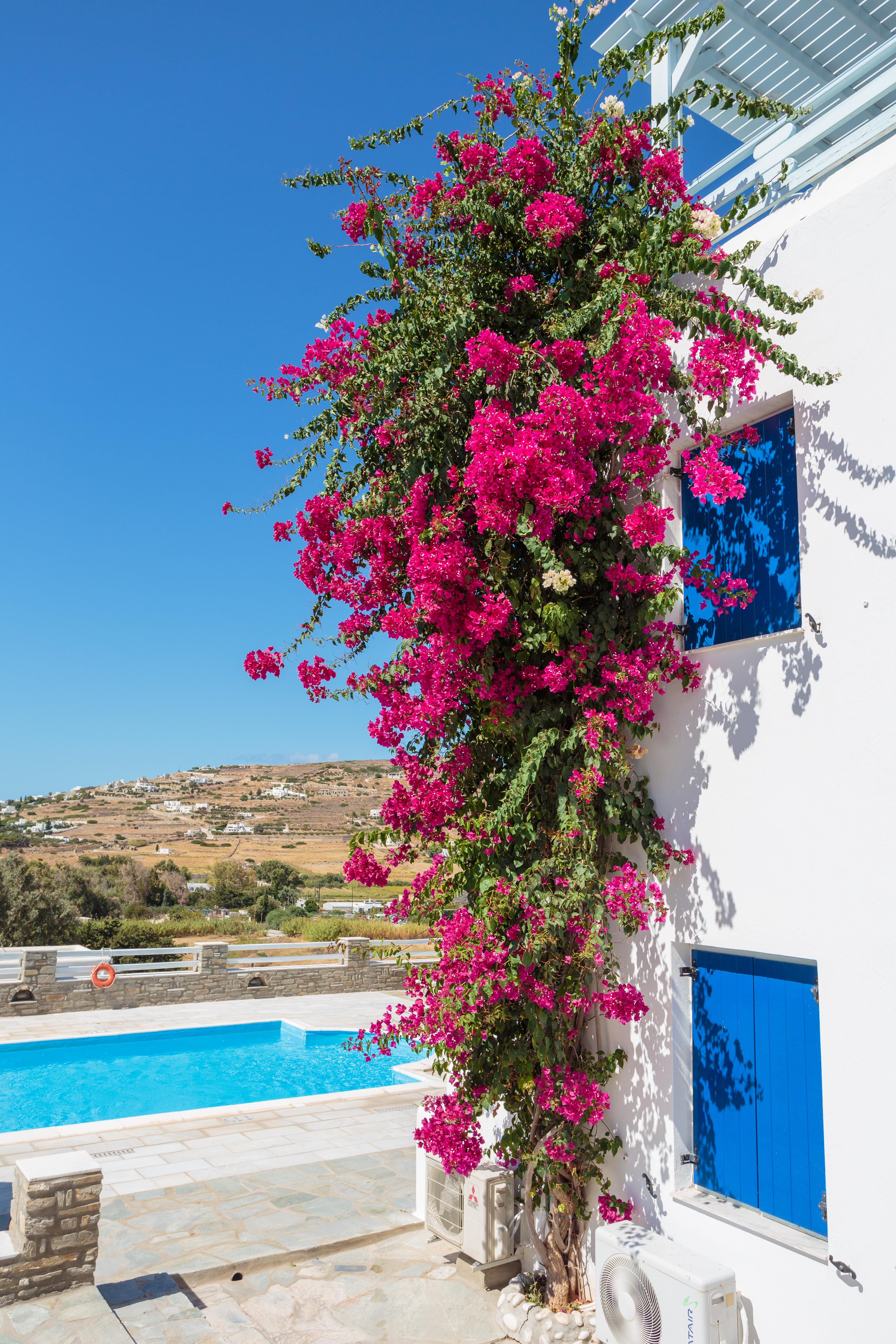 Pyrgaki Hotel Páros Dış mekan fotoğraf